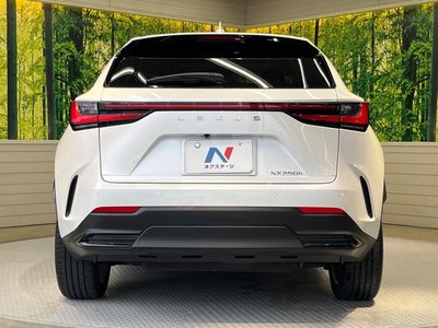2023 Lexus NX photo 15