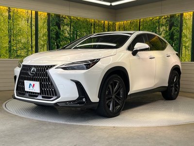 2023 Lexus NX thumbnail 24
