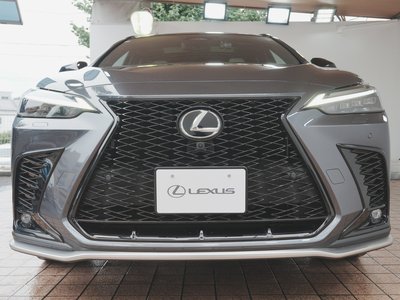 صورة 11 لـ 2023 Lexus NX