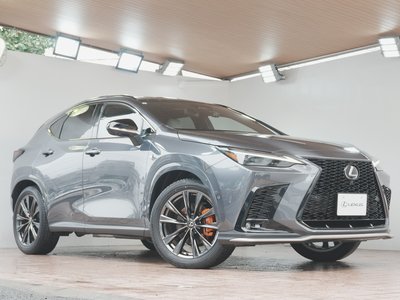 صورة 49 لـ 2023 Lexus NX