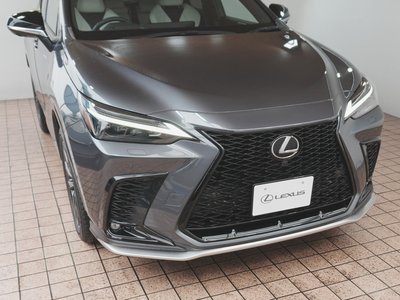 صورة 53 لـ 2023 Lexus NX