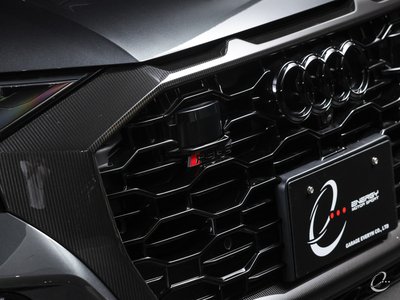 2024 AUDI RS Q8 thumbnail 21