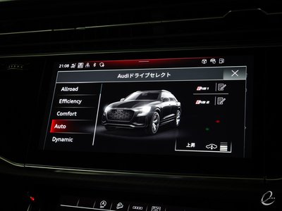 2024 AUDI RS Q8 thumbnail 79