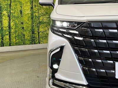 2023 Toyota ALPHARD thumbnail 64