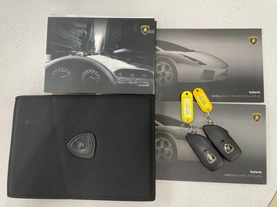 صورة مصغرة 38 لـ 2008 Lamborghini GALLARDO