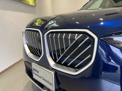 2025 BMW X3 photo 10