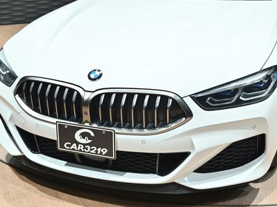2019 BMW 8 SERIES thumbnail 29