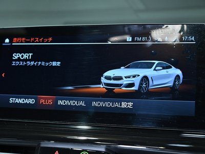 2019 BMW 8 SERIES thumbnail 43