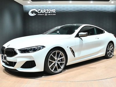 2019 BMW 8 SERIES thumbnail 67