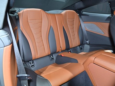 2019 BMW 8 SERIES thumbnail 19
