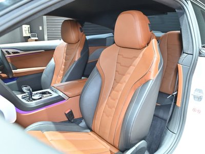 2019 BMW 8 SERIES thumbnail 18