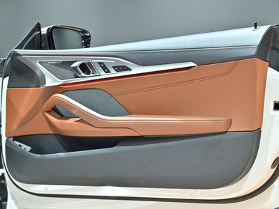 2019 BMW 8 SERIES thumbnail 60