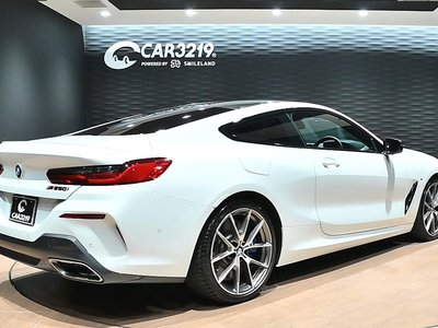 2019 BMW 8 SERIES thumbnail 66