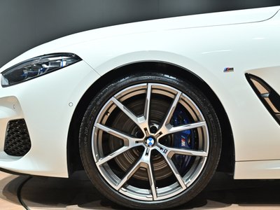 2019 BMW 8 SERIES thumbnail 24