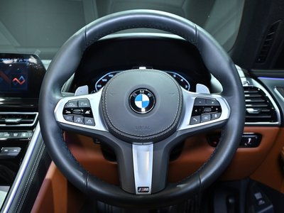 2019 BMW 8 SERIES thumbnail 39