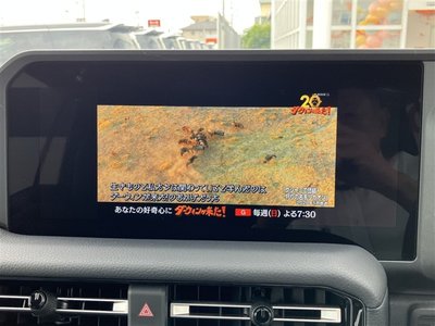 2024 Toyota LAND CRUISER 250 photo 16