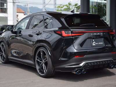 2025 Lexus NX 照片 5