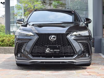 2025 Lexus NX 照片 11