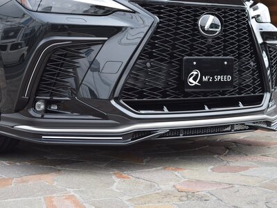 2025 Lexus NX 照片 14