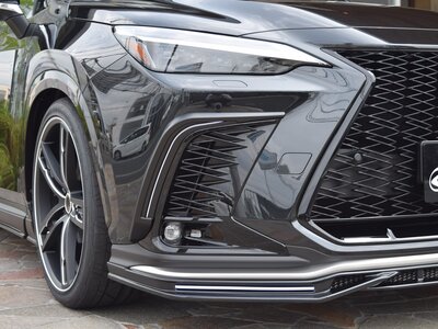 2025 Lexus NX 照片 18