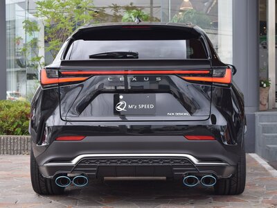 2025 Lexus NX 照片 21