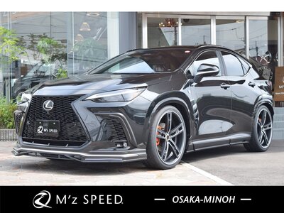 2025 Lexus NX 照片 1