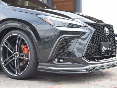 2025 Lexus NX 照片 13