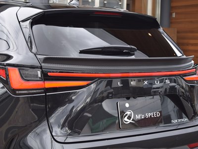 2025 Lexus NX 照片 22