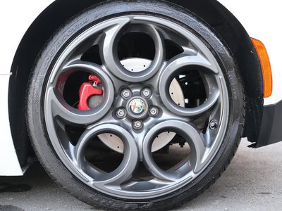 2016 ALFA Romeo 4C SPIDER 照片 17