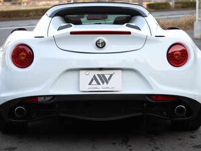 2016 ALFA Romeo 4C SPIDER 照片 10