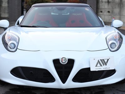 2016 ALFA Romeo 4C SPIDER 照片 14