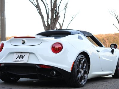 2016 ALFA Romeo 4C SPIDER 照片 11