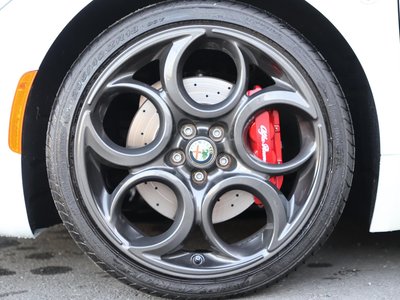 2016 ALFA Romeo 4C SPIDER 照片 18