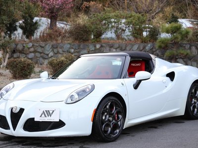 2016 ALFA Romeo 4C SPIDER 照片 7