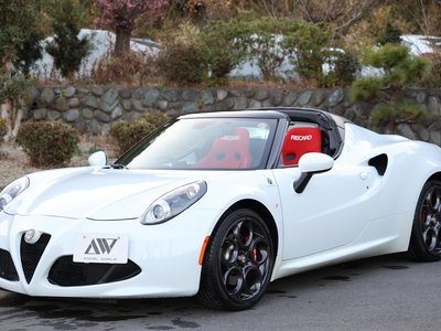 2016 ALFA Romeo 4C SPIDER 照片 39