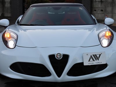 2016 ALFA Romeo 4C SPIDER 照片 37