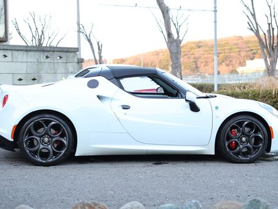 2016 ALFA Romeo 4C SPIDER 照片 12