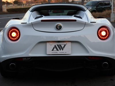 2016 ALFA Romeo 4C SPIDER 照片 38