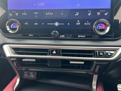 2023 Lexus RX 缩略图 19
