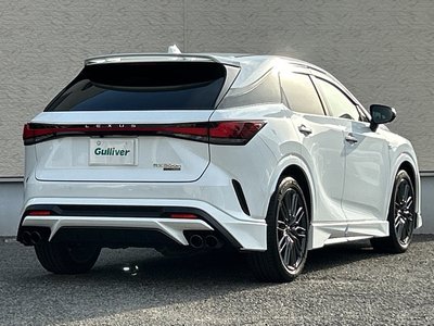 2023 Lexus RX 缩略图 69