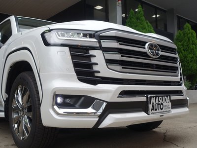 2025 Toyota LAND CRUISER 300 照片 30