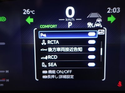 2025 Toyota LAND CRUISER 300 照片 76