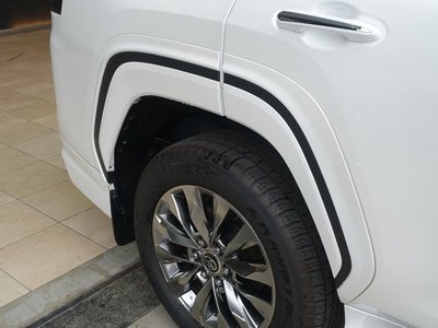 2025 Toyota LAND CRUISER 300 照片 38