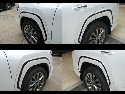2025 Toyota LAND CRUISER 300 照片 13