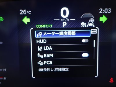 2025 Toyota LAND CRUISER 300 照片 75