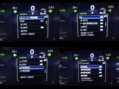 2025 Toyota LAND CRUISER 300 照片 11