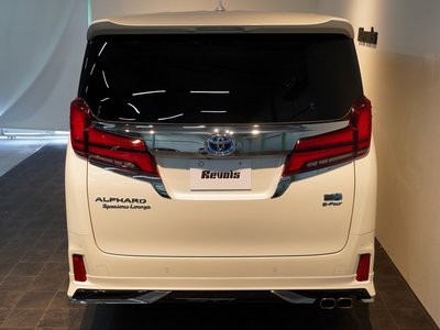 2023 Toyota ALPHARD 照片 16
