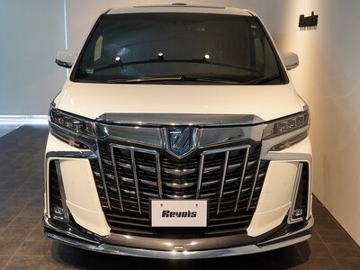 2023 Toyota ALPHARD 照片 9