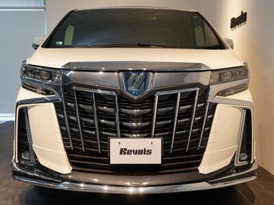 2023 Toyota ALPHARD 照片 10