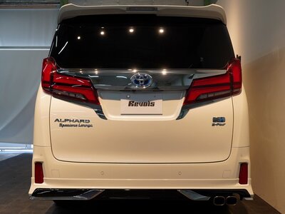 2023 Toyota ALPHARD 照片 18